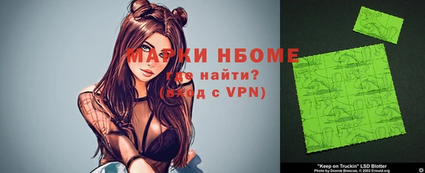 прущие грибы Алзамай