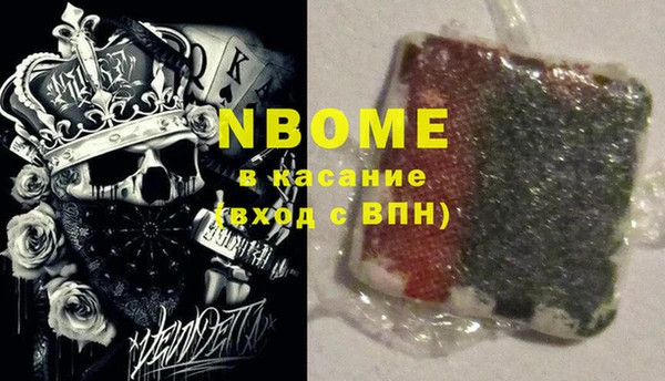 прущие грибы Алзамай