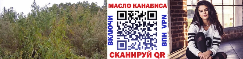 закладки  нарко площадка состав  ТГК вейп  Петропавловск-Камчатский 