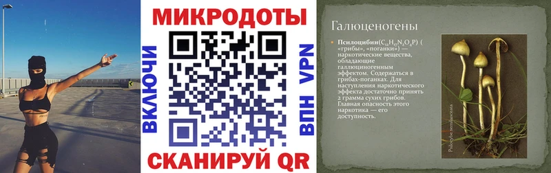 Псилоцибиновые грибы мицелий  Петропавловск-Камчатский 